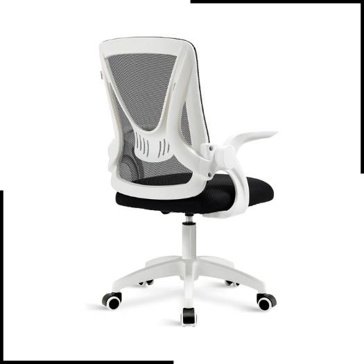 Blisswood Ergonomic Office Chair Desk Chair For Home Office