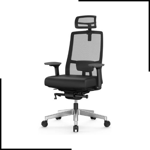 Duwinson Ergonomic Home Office Chair