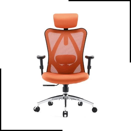 SIHOO Office Chair Ergonomic Desk Chair