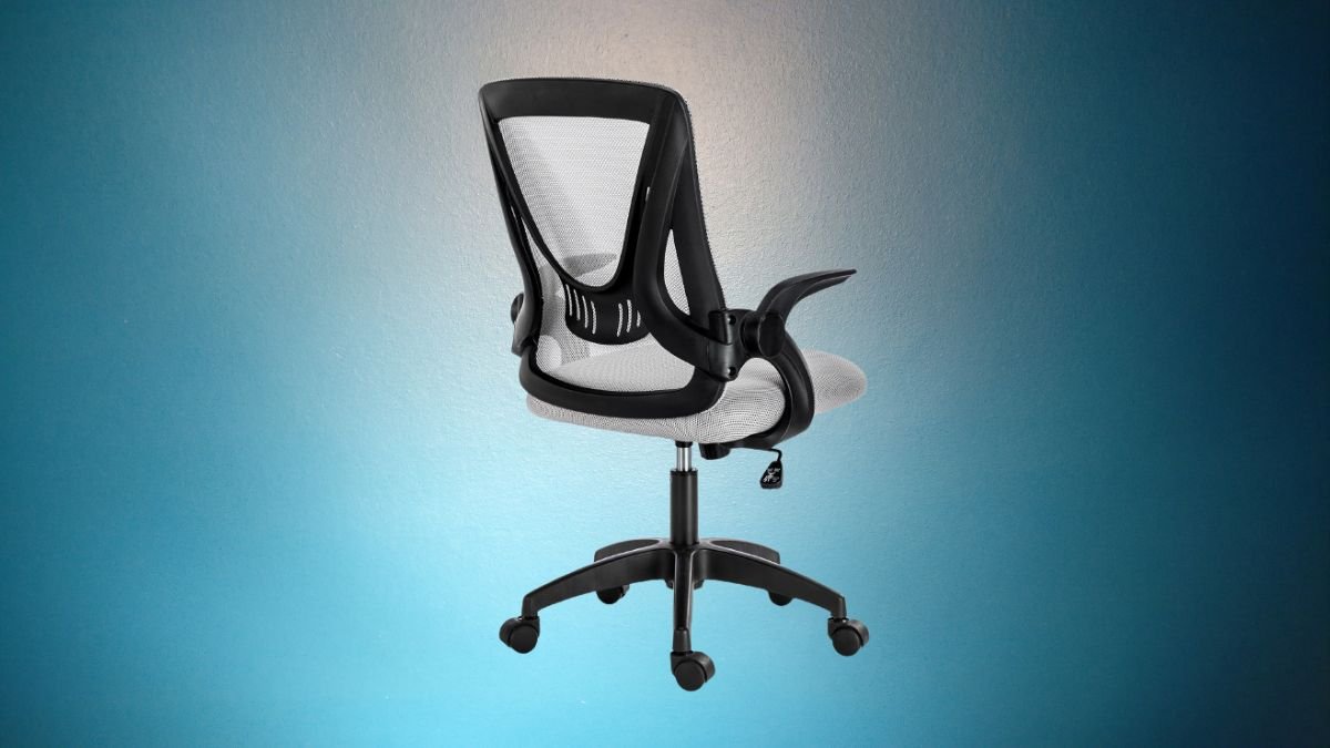 Ergo chair