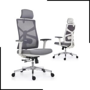 HOLLUDLE Ergonomic Office Chair with Adaptive Backrest