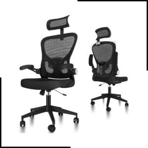 Holengain Ergonomic Office Chair with Arms and Back Support