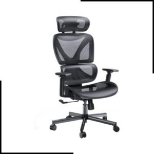 NOBLEWELL Ergonomic Office Chair