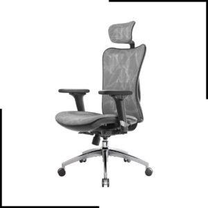 SIHOO Ergonomic Office Chair Mesh Desk Chair