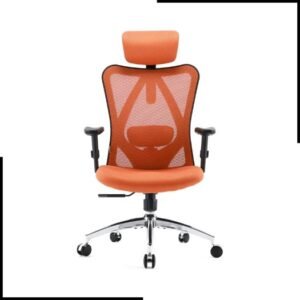 SIHOO Office Chair Ergonomic Desk Chair