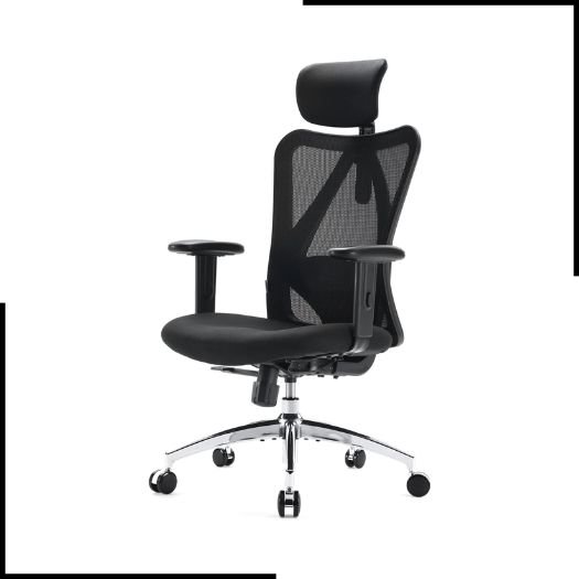 SIHOO Office Desk Chair, Ergonomic Computer Office Chair (1)