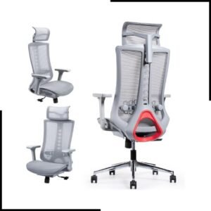 iOCHOW Ergonomic Computer Office Chair